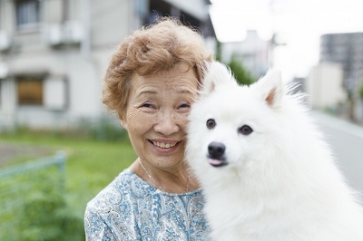 高齢者と犬.jpg
